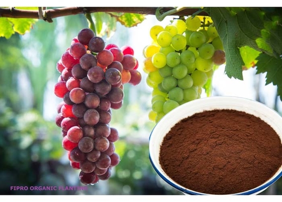Foliar Spray Fipro 85/16 Biostimulant Powder Fertilizer For Plants