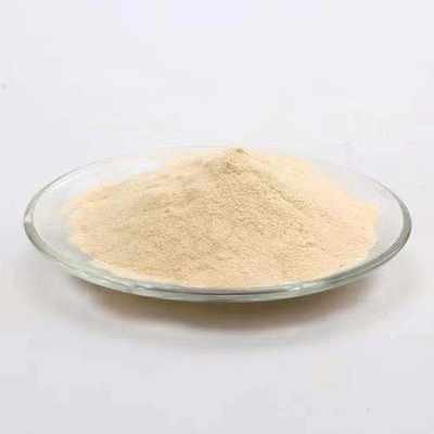 Protein 70%-90% Protein Hydrolysate Powder