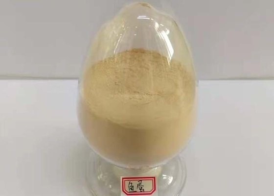 Meat-free Non-GMO Vegetable peptone powder from maize for alcohol fermentation industry