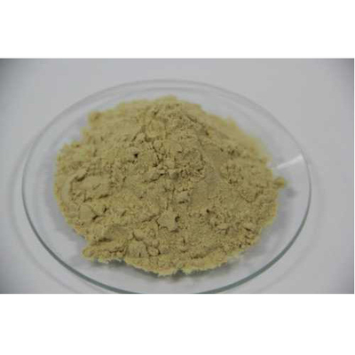 Non GMO enzyme hydrolysis bacteriological Fish peptone powder for industrial fermentation