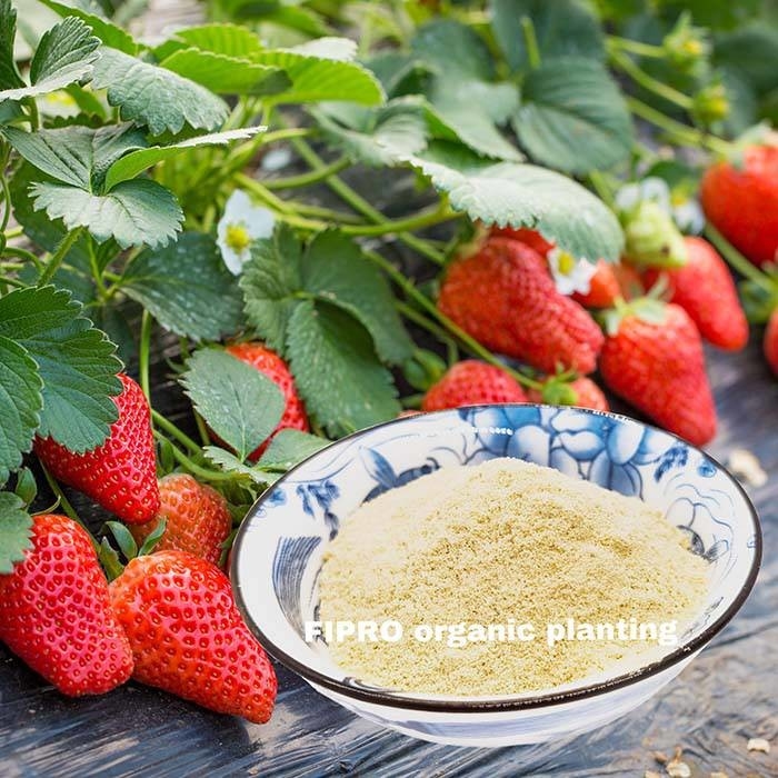 Dry Fish Protein Soil Amendment Powder Nitrogen Natural Fertilizer