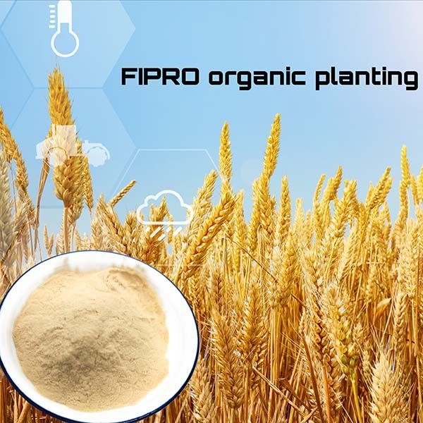 Enzymatically Soy Protein Plants Fertilizer Powder Chemical Free